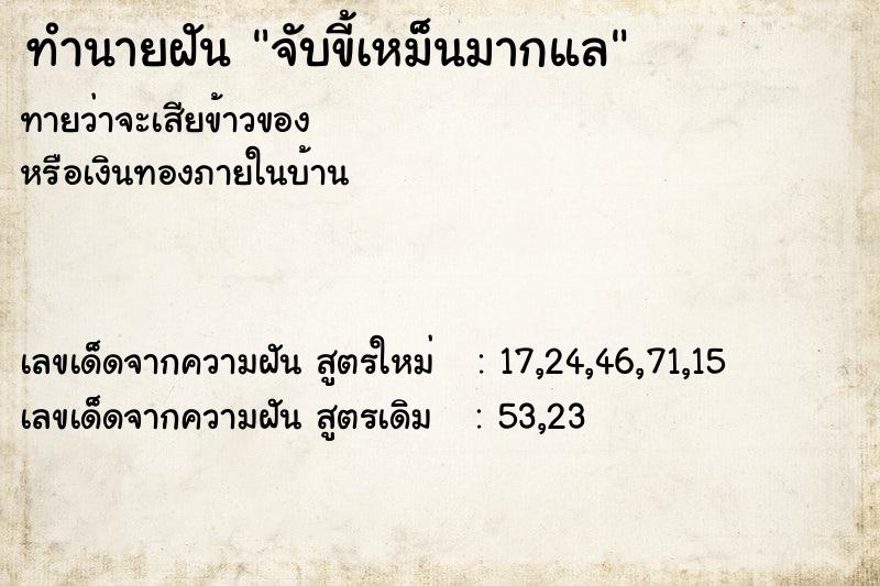 ทำนายฝัน จับขี้เหม็นมากแล