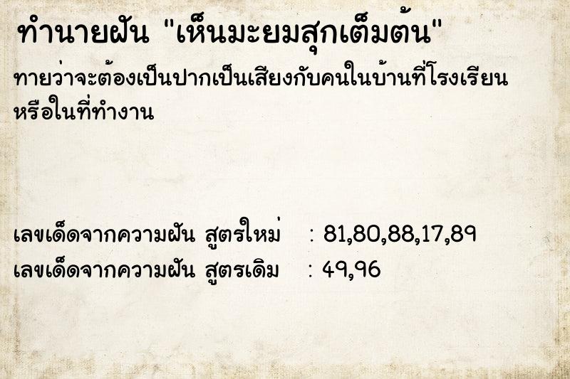 ทำนายฝัน เห็นมะยมสุกเต็มต้น  เลขนำโชค 