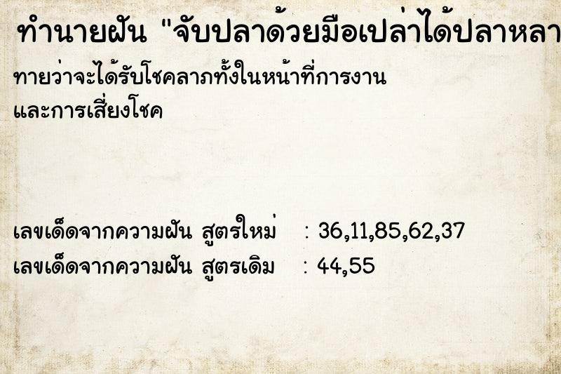 ทำนายฝัน จับปลาด้วยมือเปล่าได้ปลาหลายตัวมาก