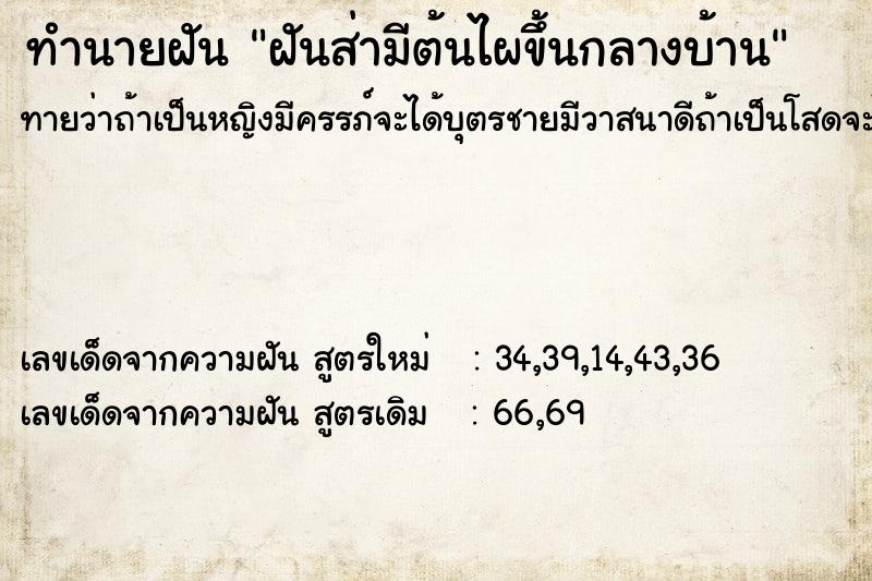 ทำนายฝัน ฝันส่ามีต้นไผขึ้นกลางบ้าน