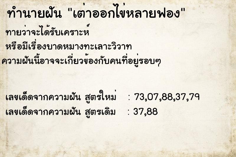 ทำนายฝัน เต่าออกไข่หลายฟอง