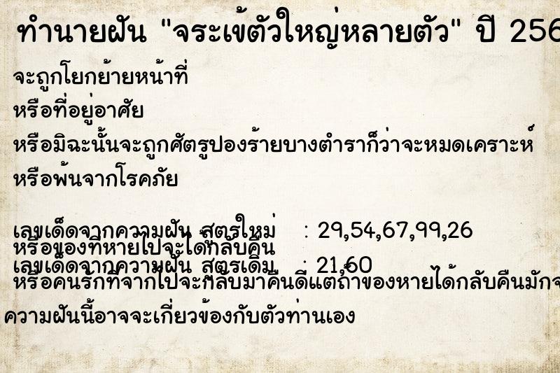 ทำนายฝัน #ทำนายฝัน #จระเข้ตัวใหญ่หลายตัว  เลขนำโชค 