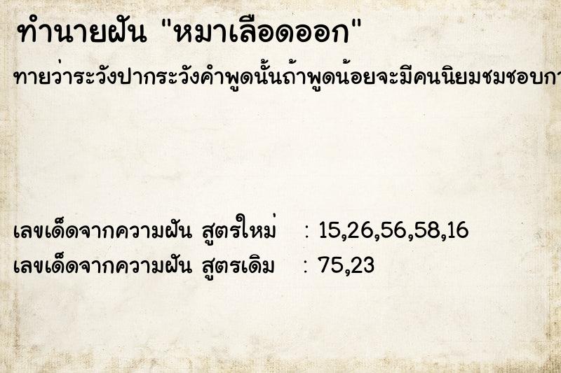 ทำนายฝัน หมาเลือดออก