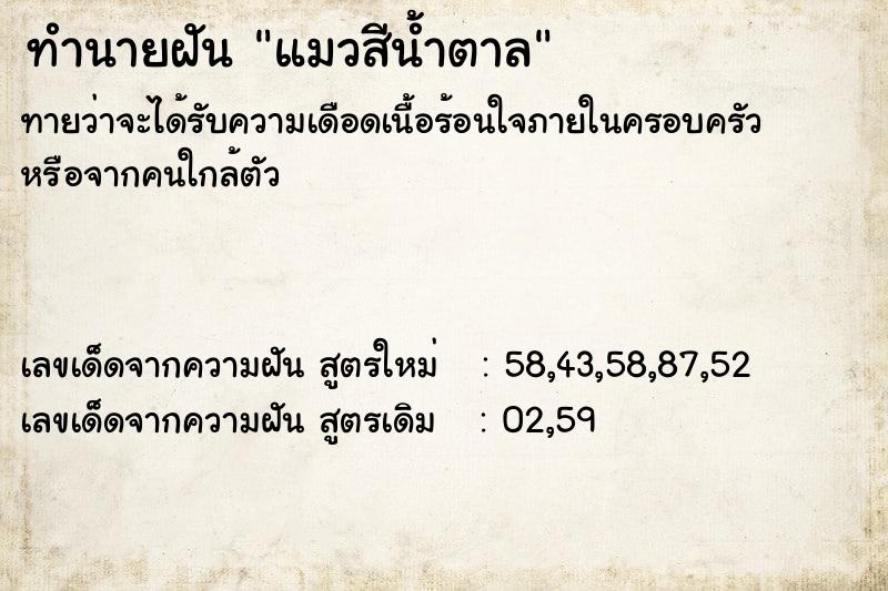 ทำนายฝัน แมวสีน้ำตาล  เลขนำโชค 