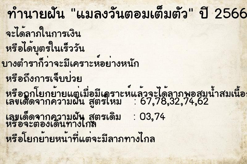 ทำนายฝัน แมลงวันตอมเต็มตัว