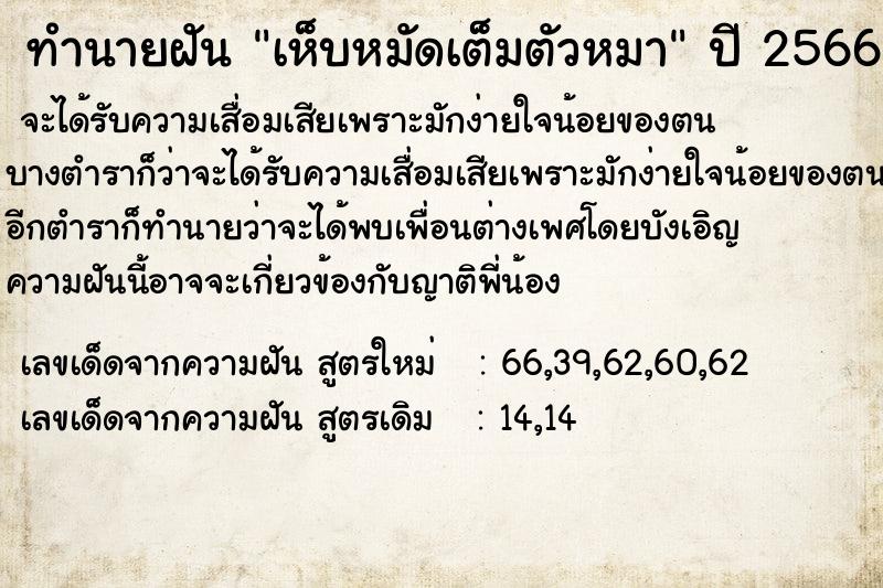 ทำนายฝัน เห็บหมัดเต็มตัวหมา