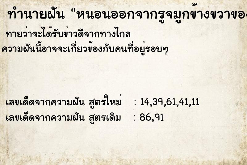 ทำนายฝัน หนอนออกจากรูจมูกข้างขวาของตนเอง