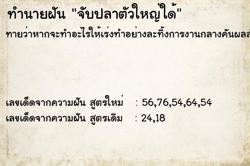 ทำนายฝัน จับปลาตัวใหญ่ใด้