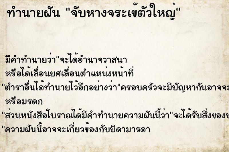 ทำนายฝัน จับหางจระเข้ตัวใหญ่