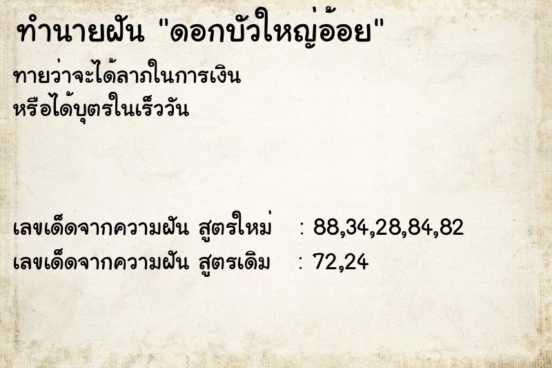 ทำนายฝัน ดอกบัวใหญ่อ้อย