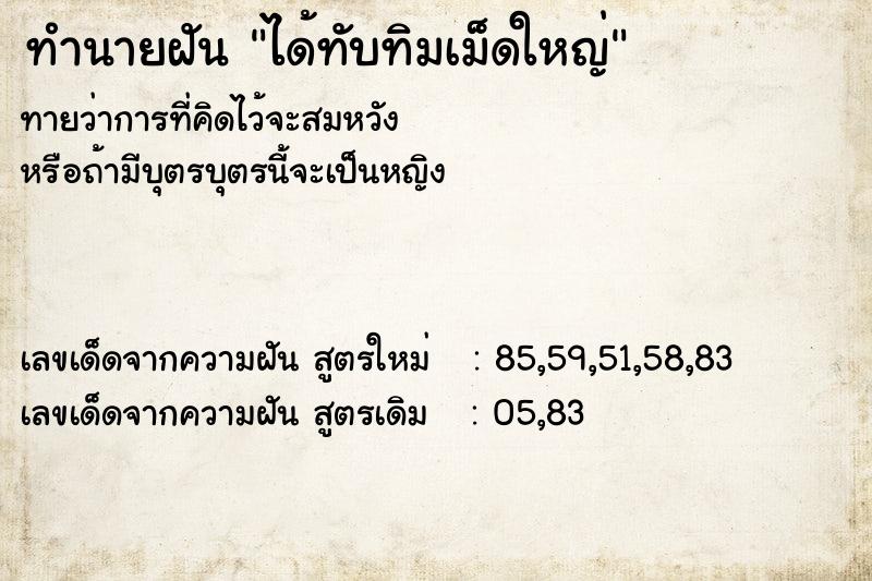 ทำนายฝัน ได้ทับทิมเม็ดใหญ่