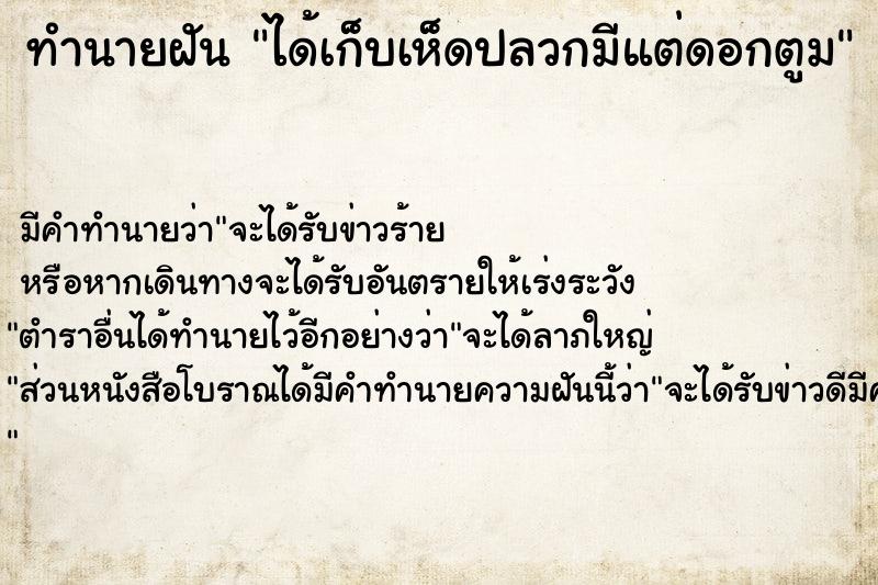 ทำนายฝัน ได้เก็บเห็ดปลวกมีแต่ดอกตูม