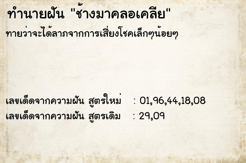 ทำนายฝัน ช้างมาคลอเคลีย