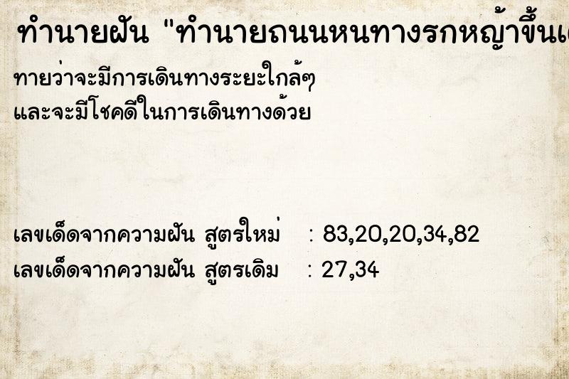 ทำนายฝัน ทำนายถนนหนทางรกหญ้าขึ้นเต็ม