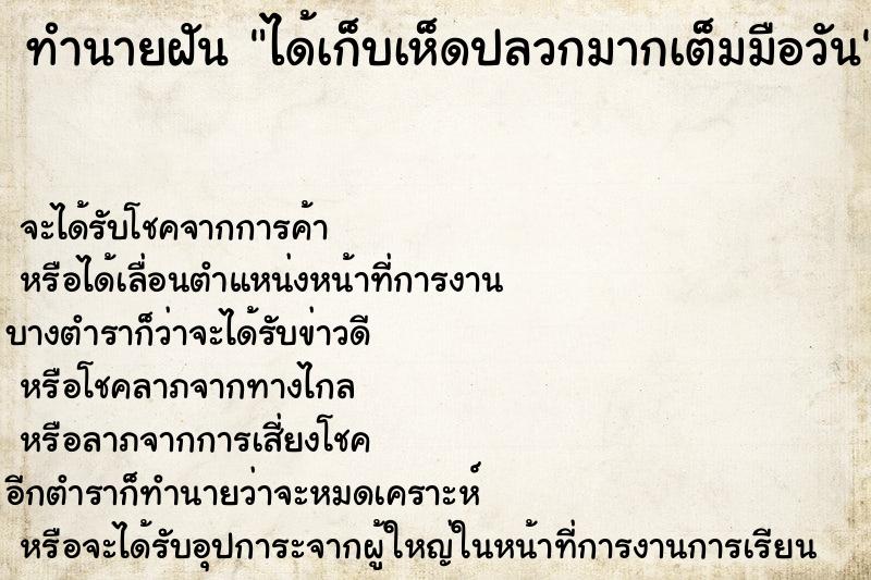 ทำนายฝัน ได้เก็บเห็ดปลวกมากเต็มมือวัน