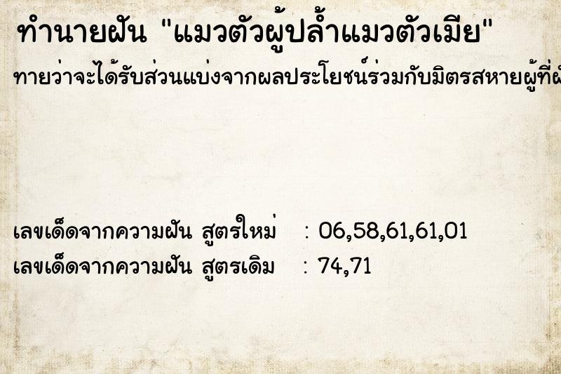 ทำนายฝัน แมวตัวผู้ปล้ำแมวตัวเมีย