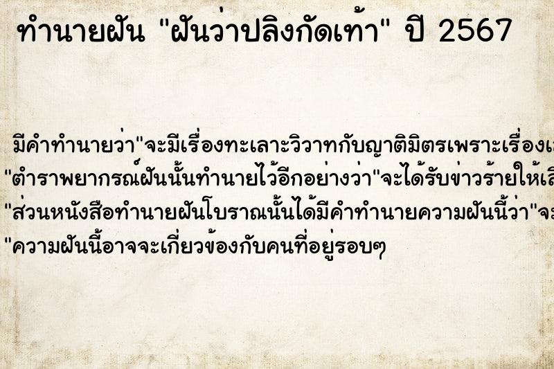 ทำนายฝัน ฝันว่าปลิงกัดเท้า  เลขนำโชค 