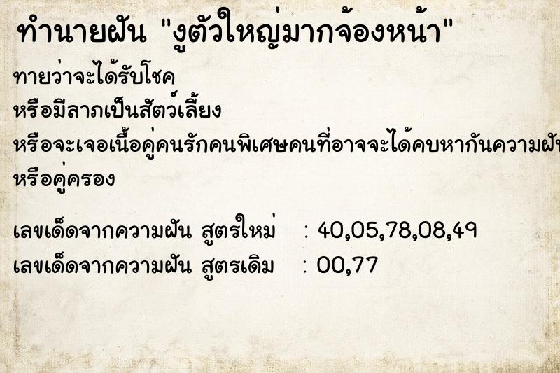 ทำนายฝัน งูตัวใหญ่มากจ้องหน้า