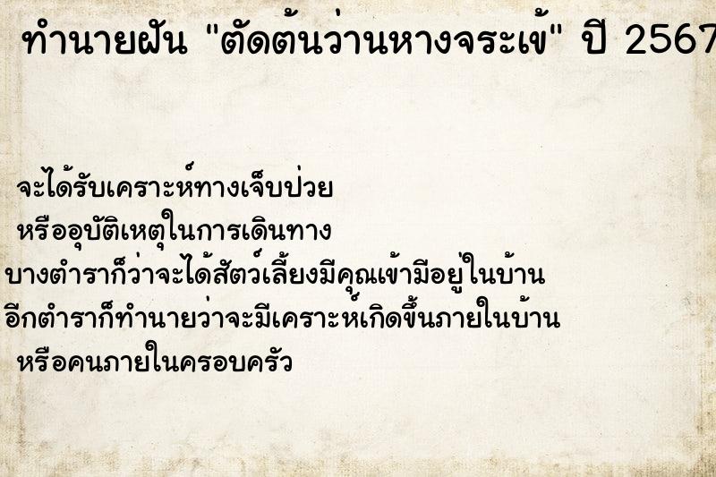 ทำนายฝัน ตัดต้นว่านหางจระเข้  เลขนำโชค 