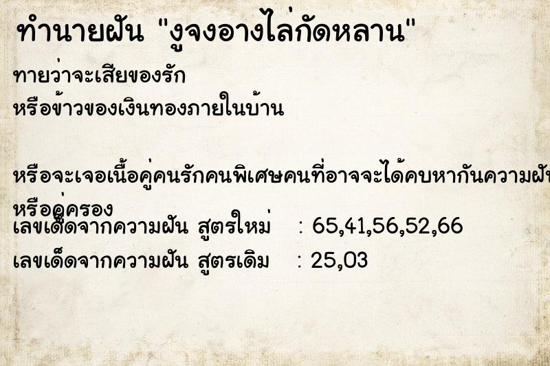 ทำนายฝัน งูจงอางไล่กัดหลาน