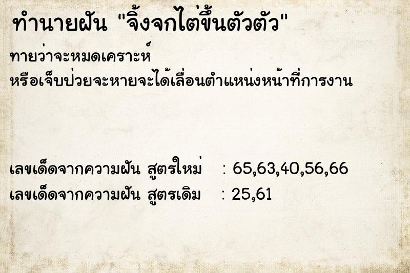 ทำนายฝัน จิ้งจกไต่ขึ้นตัวตัว