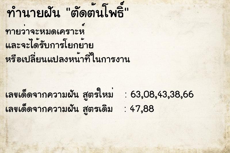 ทำนายฝัน ตัดต้นโพธิ์