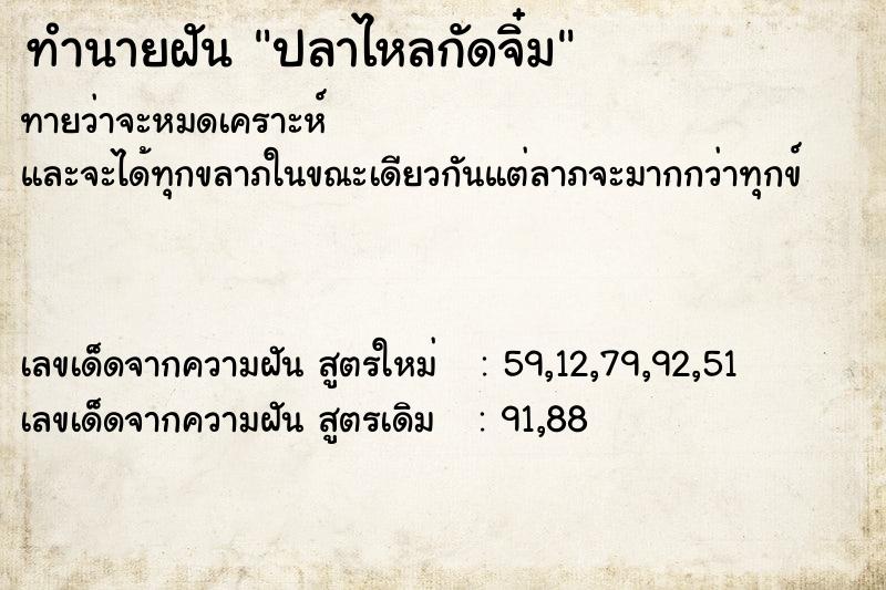 ทำนายฝัน ปลาไหลกัดจิ๋ม