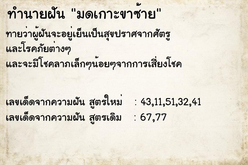 ทำนายฝัน มดเกาะขาซ้าย  เลขนำโชค 