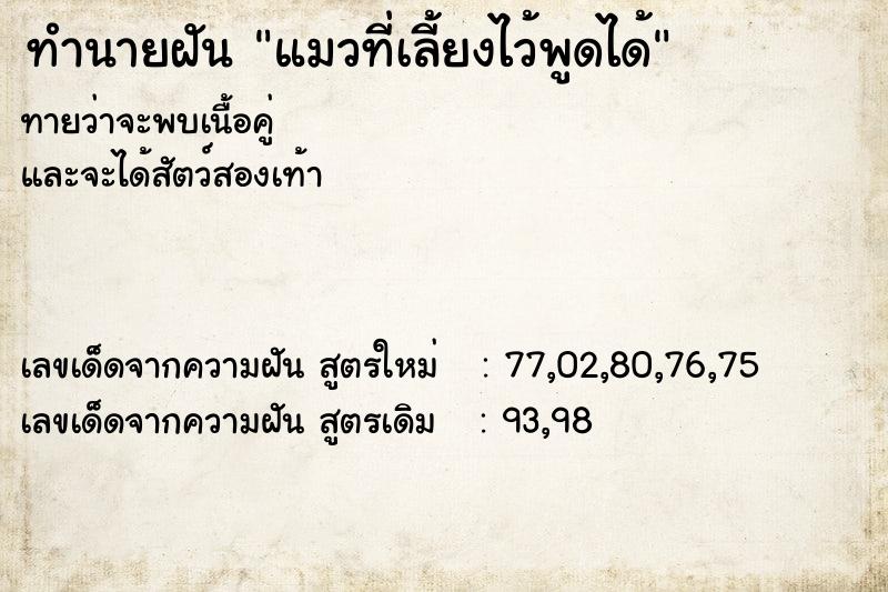 ทำนายฝัน แมวที่เลี้ยงไว้พูดได้