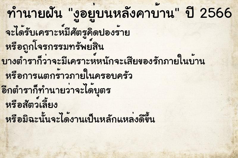 ทำนายฝัน งูอยู่บนหลังคาบ้าน  เลขนำโชค 