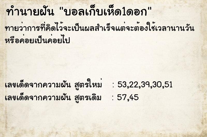 ทำนายฝัน บอลเก็บเห็ด1ดอก