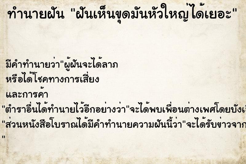 ทำนายฝัน ฝันเห็นขุดมันหัวใหญ่ได้เยอะ