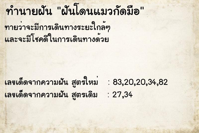 ทำนายฝัน ฝันโดนแมวกัดมือ