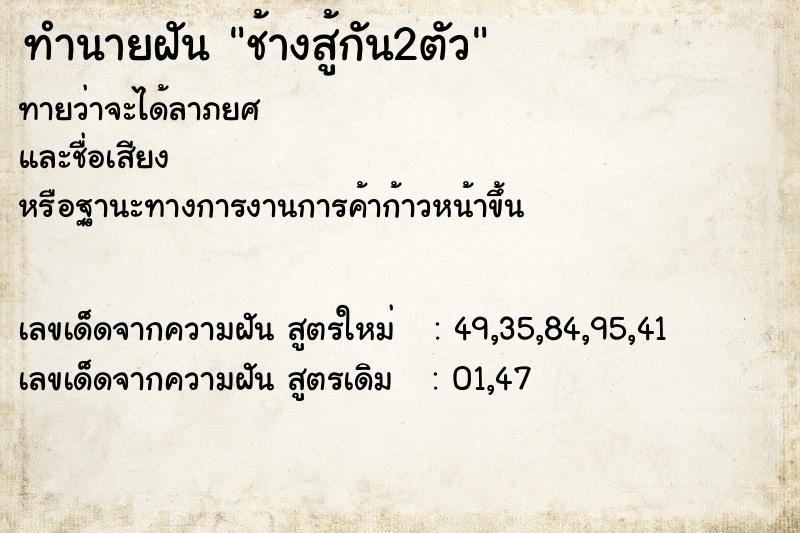 ทำนายฝัน ช้างสู้กัน2ตัว