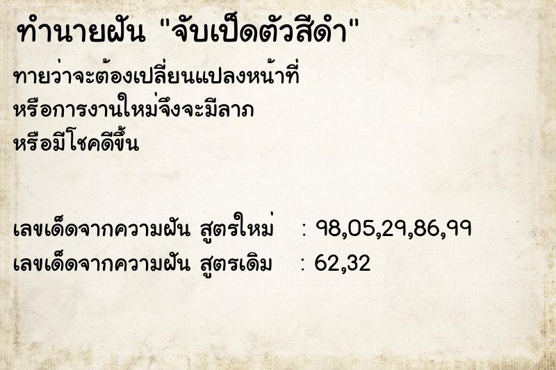 ทำนายฝัน จับเป็ดตัวสีดำ