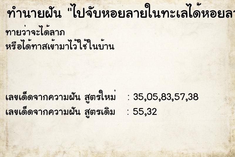 ทำนายฝัน ไปจับหอยลายในทะเลได้หอยลาย