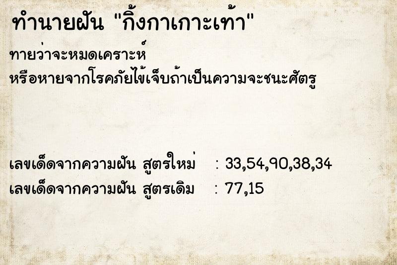 ทำนายฝัน กิ้งกาเกาะเท้า