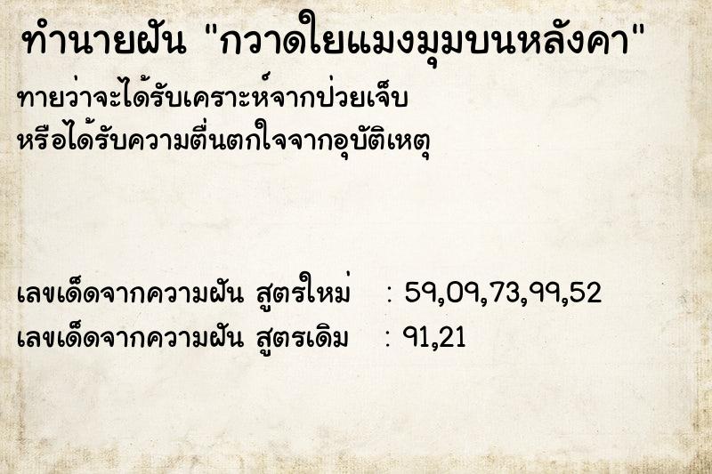 ทำนายฝัน กวาดใยแมงมุมบนหลังคา