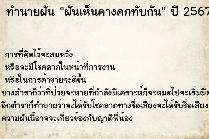 ทำนายฝัน ฝันเห็นคางคกทับกัน