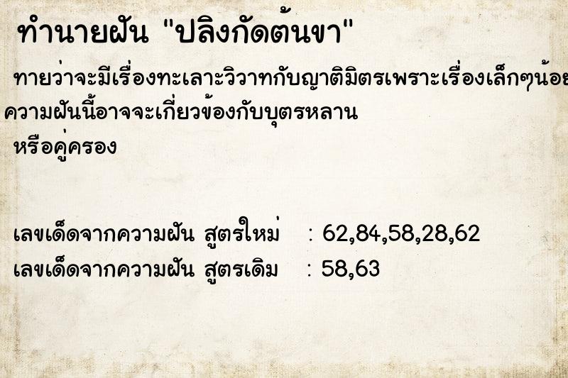 ทำนายฝัน ปลิงกัดต้นขา