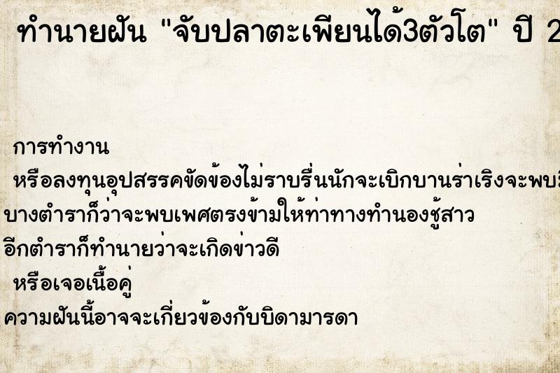 ทำนายฝัน จับปลาตะเพียนได้3ตัวโต