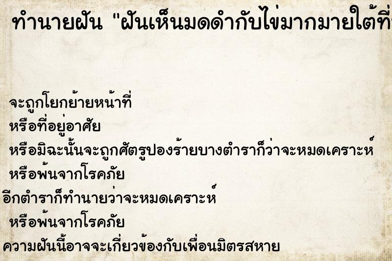 ทำนายฝัน ฝันเห็นมดดำกับไข่มากมายใต้ที่นอน