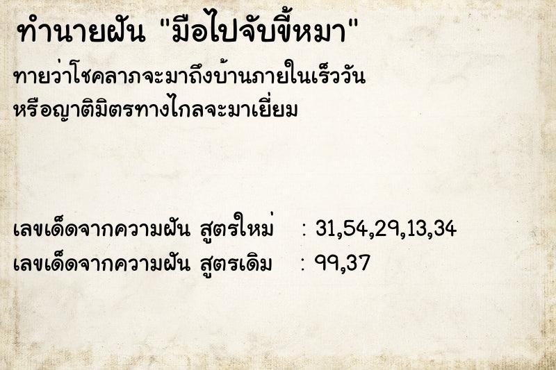 ทำนายฝัน มือไปจับขี้หมา