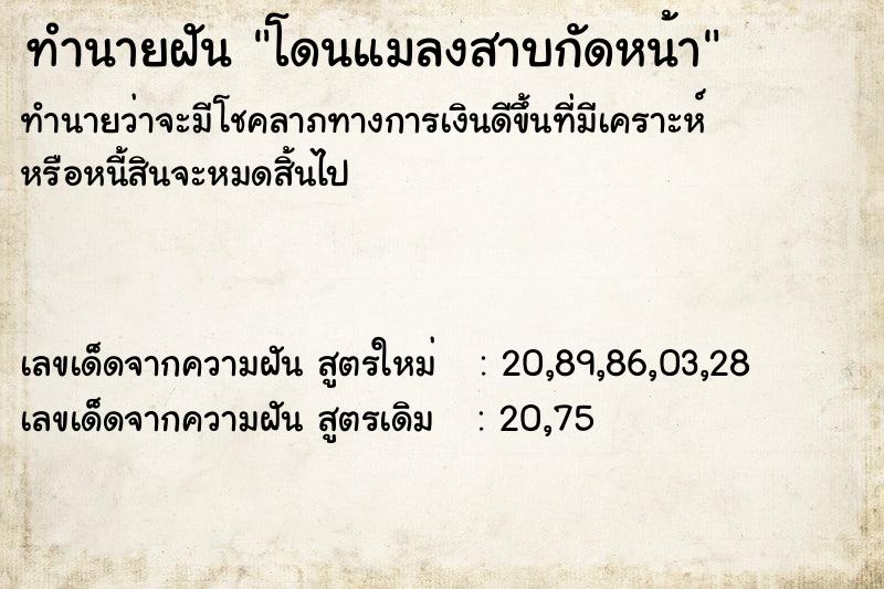 ทำนายฝัน โดนแมลงสาบกัดหน้า