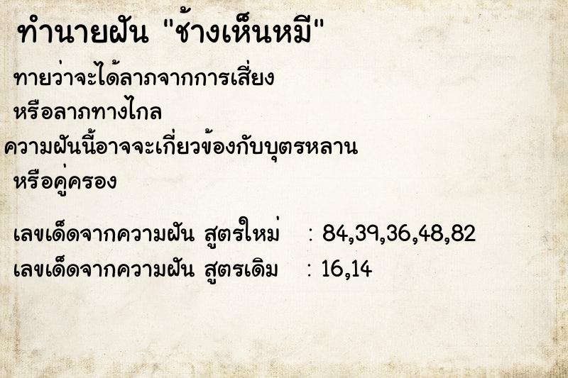 ทำนายฝัน ช้างเห็นหมี