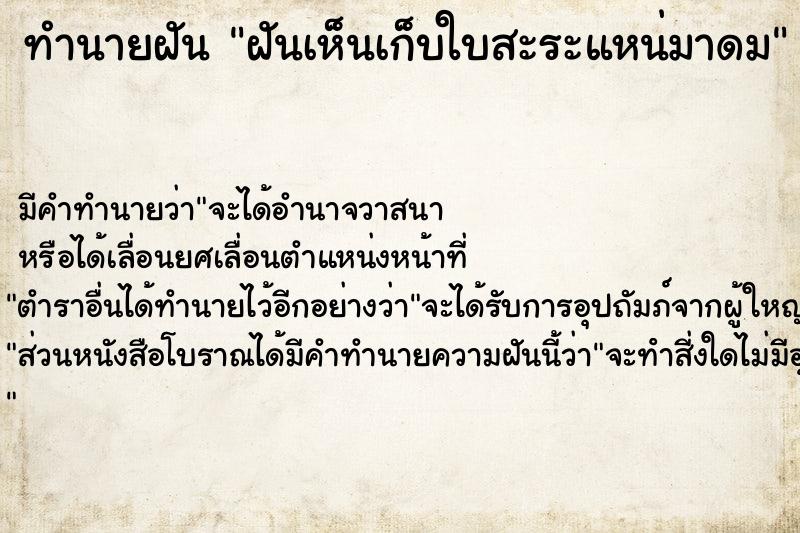 ทำนายฝัน ฝันเห็นเก็บใบสะระแหน่มาดม