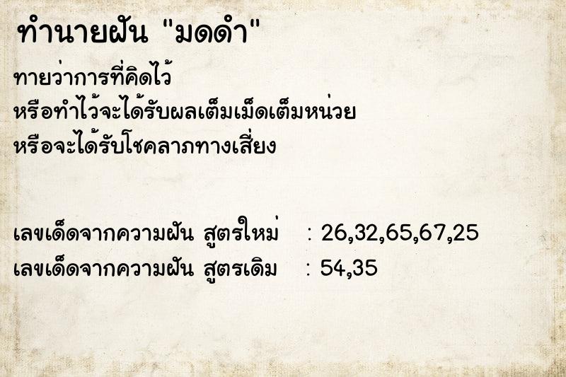 ทำนายฝัน มดดำ  เลขนำโชค 