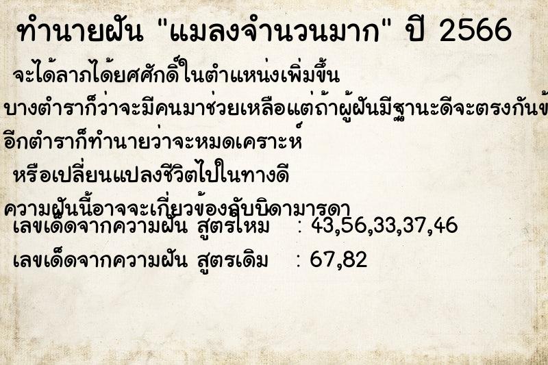 ทำนายฝัน แมลงจำนวนมาก  เลขนำโชค 