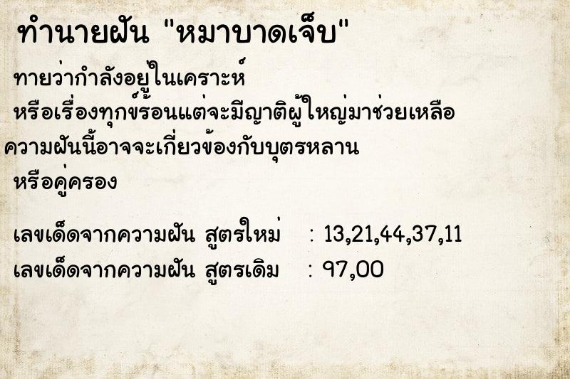 ทำนายฝัน หมาบาดเจ็บ