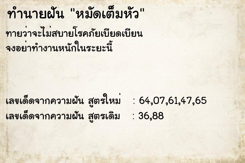 ทำนายฝัน หมัดเต็มหัว